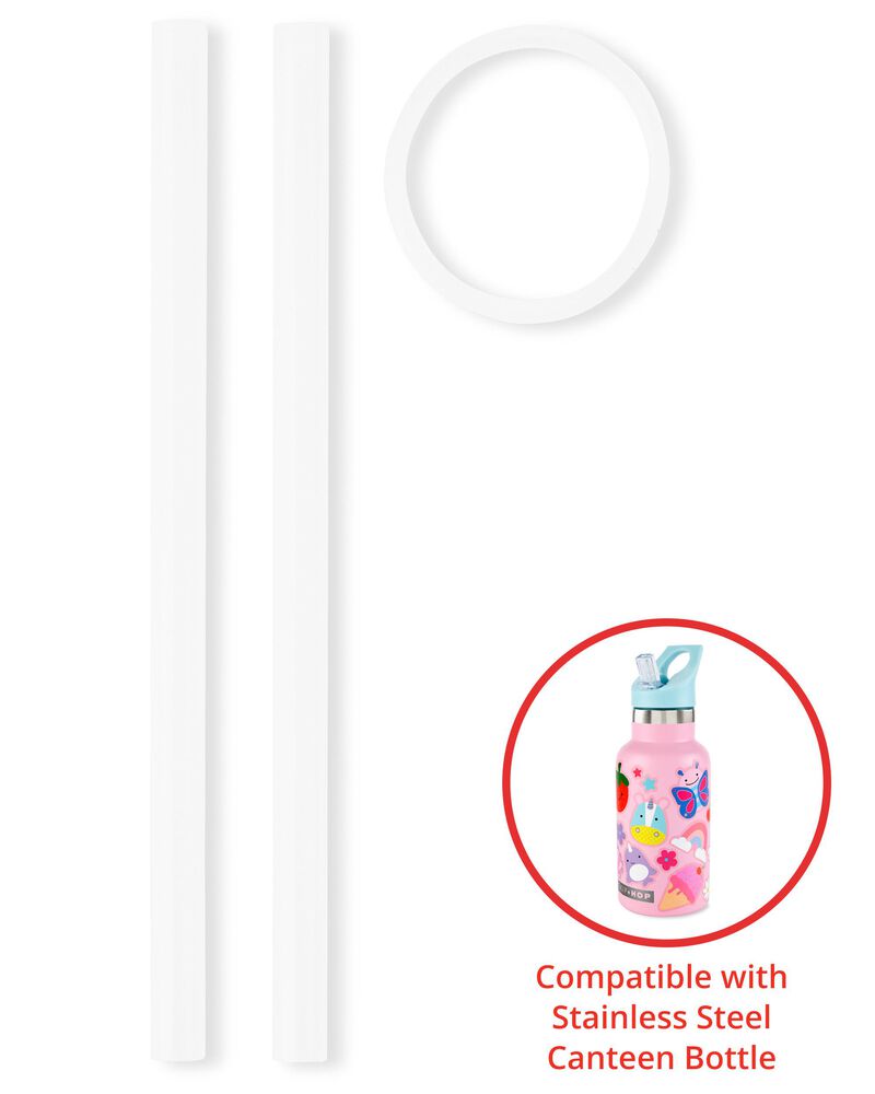 Stainless Steel Canteen Bottle Extra Straws - 2-Pack, image 1 of 2 slides
