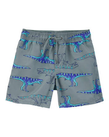Boys Dinosaur Swim Trunks - Grey, 