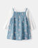 Blue/White