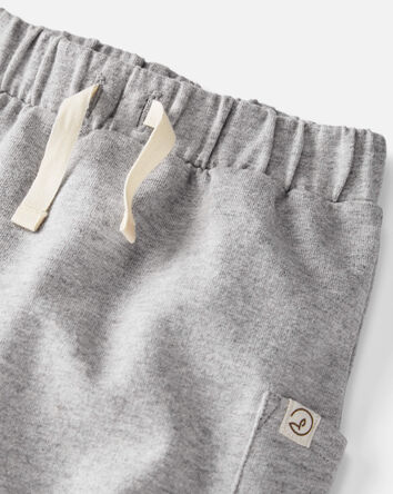 Baby 2-Pack Organic Cotton Pants in Sage Pond & Heather Grey, 
