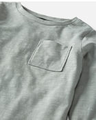 Toddler 2-Pack Organic Cotton T-Shirts in Wild Horses & Sage Pond, image 2 of 5 slides