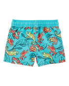 Toddler 2-Piece Iguana Long-Sleeve Rashguard & Trunks Set
, image 6 of 7 slides