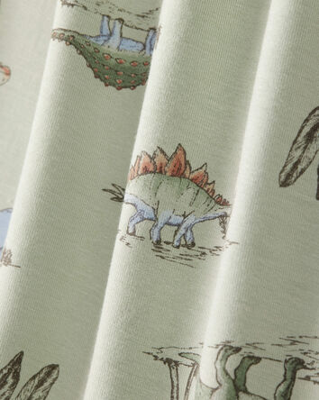 Boys Dinosaur Print PurelySoft Long-Sleeve 2-Piece Pajamas - Green, 