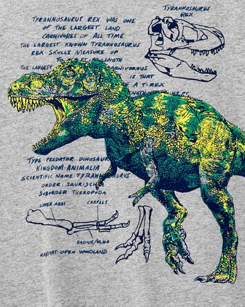 Kid Dinosaur Graphic Tee, 
