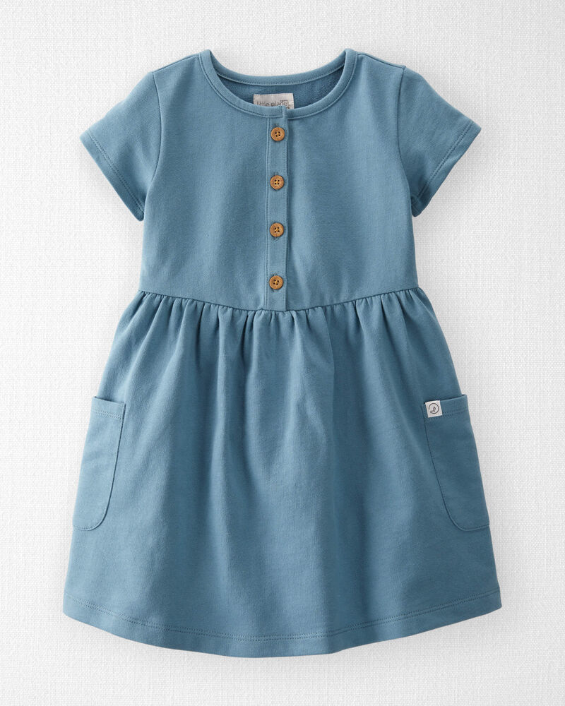 Toddler Organic Cotton Pocket Dress in Cottage Blue, image 1 of 5 slides