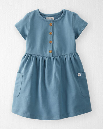 Toddler Organic Cotton Pocket Dress in Cottage Blue, 
