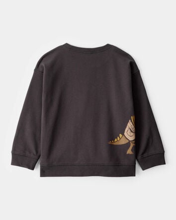 Toddler Boy Halloween Trick or Treat Dinosaur Pullover - Black, 
