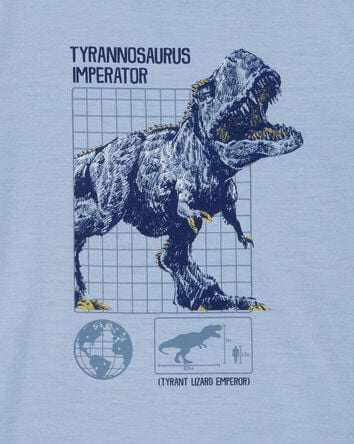 Boys Dinosaur Loose Fit 2-Piece Pajamas - Blue, 