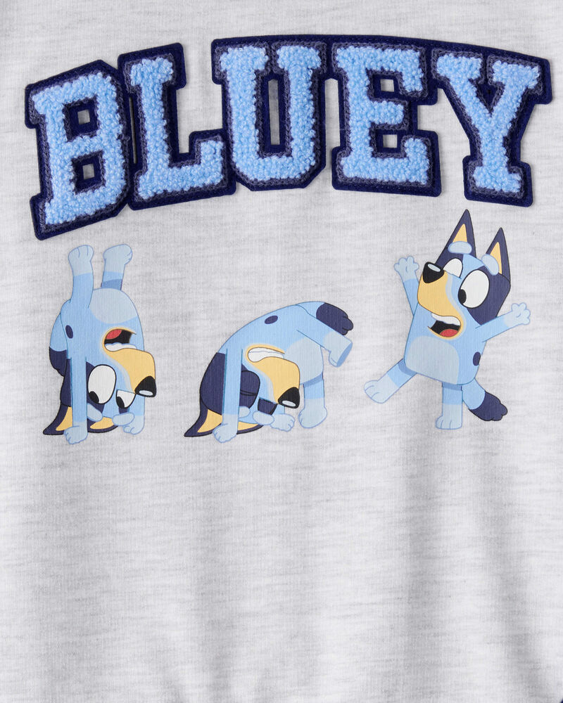 Toddler Boy Bluey Colorblock French Terry Sweatshirt - Grey, image 3 of 3 slides