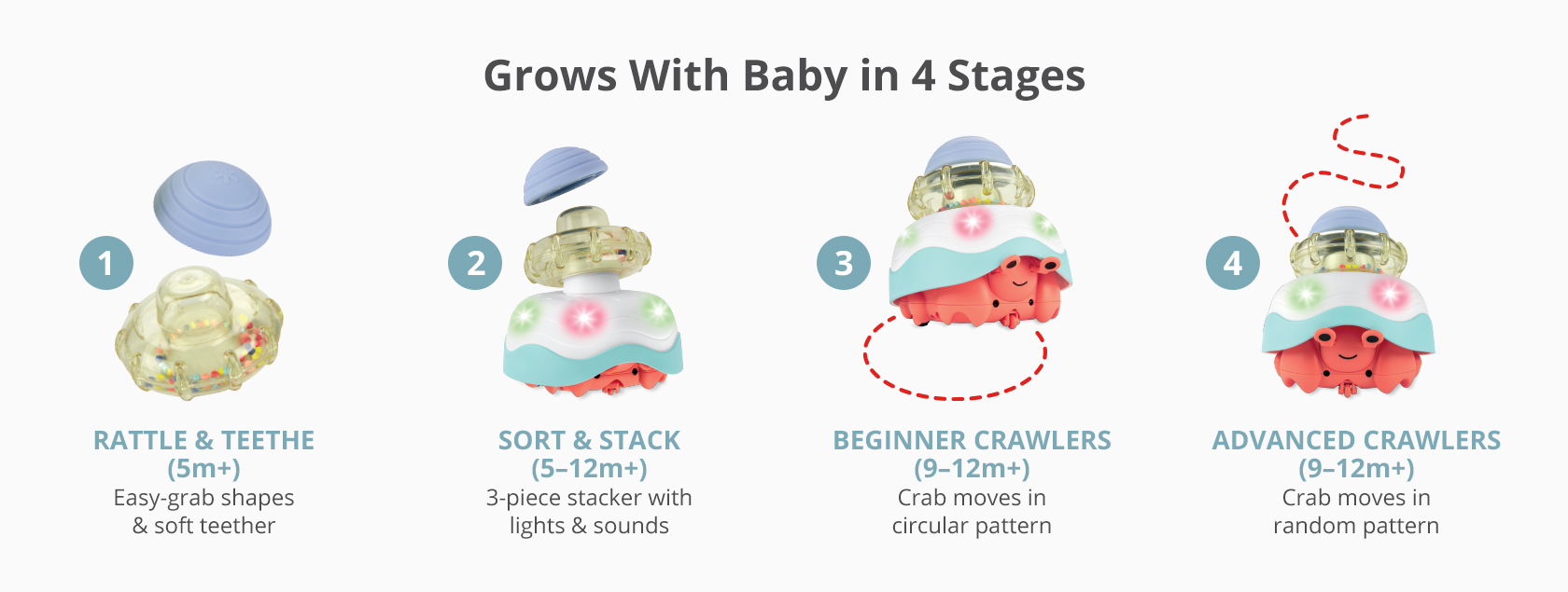 Grows with baby in 4 stages