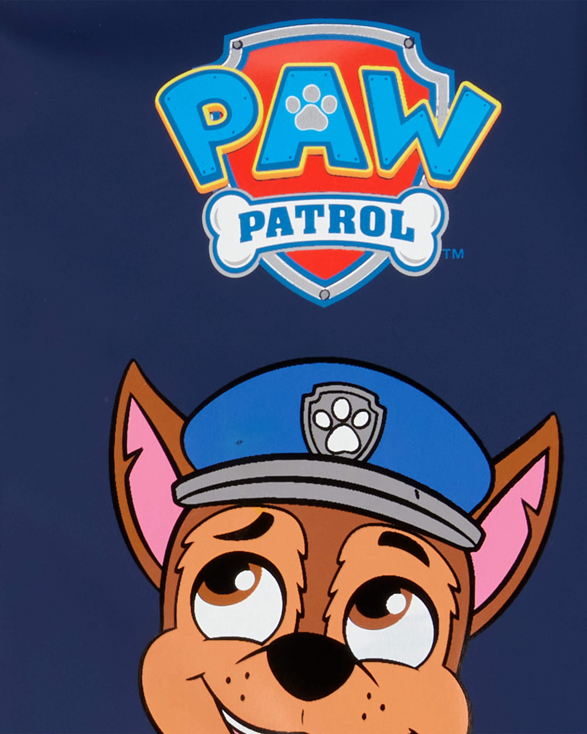 Toddler PAW Patrol Rain Jacket, image 3 of 3 slides