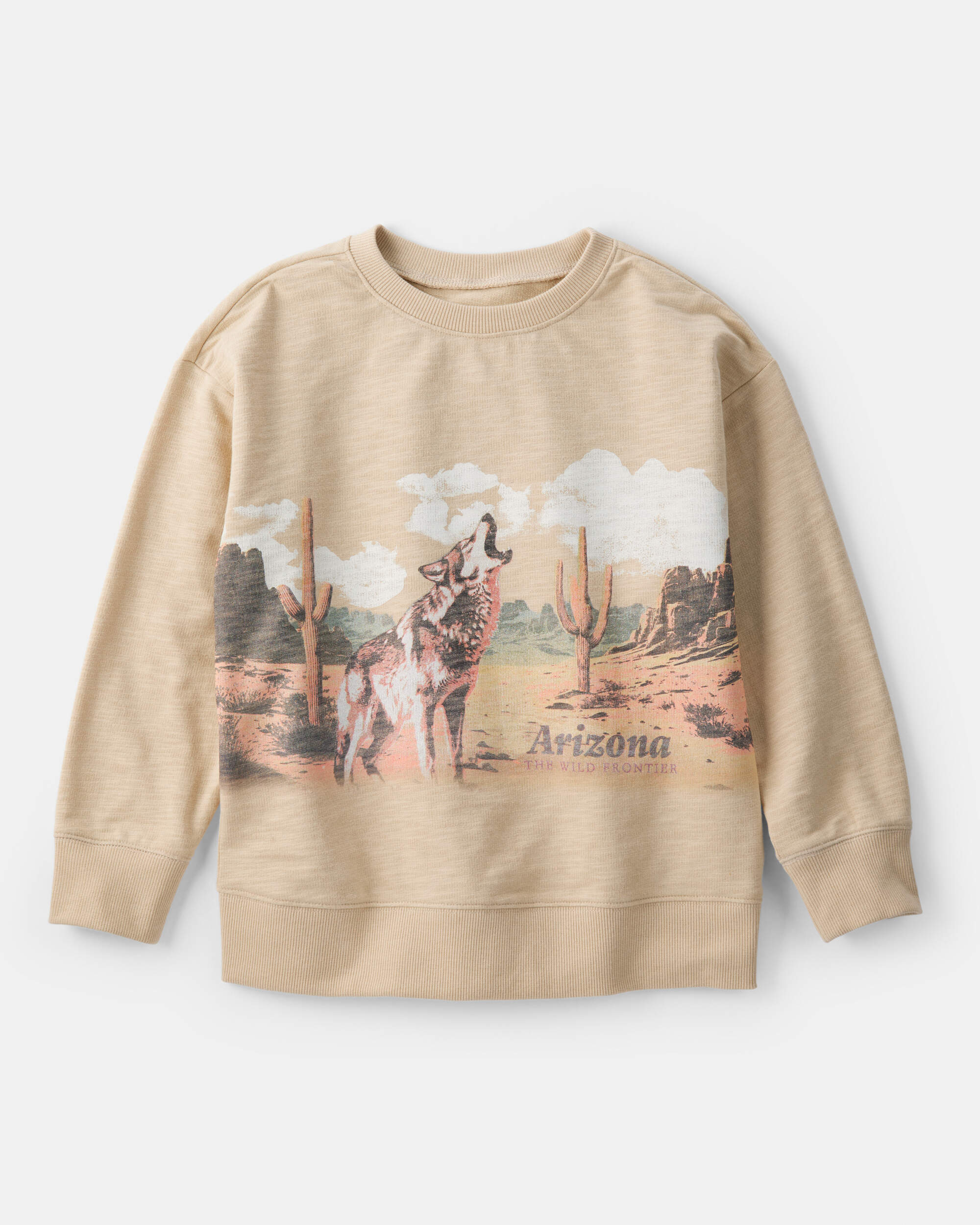 Boys Arizona Western Cotton Pullover Sweatshirt - Brown, image 1 of 3 slides